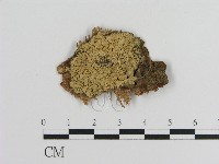 登錄號:F0000910藏品圖，第1張