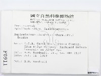 登錄號:F0000911藏品圖，第2張