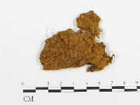 登錄號:F0000912藏品圖，第1張