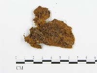 登錄號:F0000912藏品圖，第3張