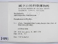 登錄號:F0000913藏品圖，第2張