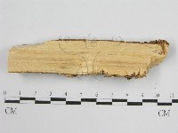登錄號:F0000913藏品圖，第5張