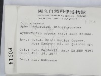 登錄號:F0000914藏品圖，第2張