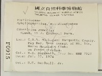 登錄號:F0000915藏品圖，第2張