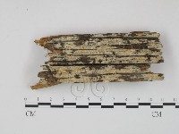 登錄號:F0000915藏品圖，第1張