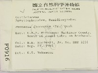 登錄號:F0000916藏品圖，第2張