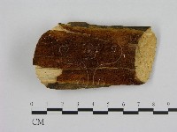 登錄號:F0000916藏品圖，第1張