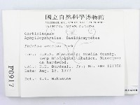 登錄號:F0000917藏品圖，第3張