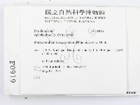 登錄號:F0000919藏品圖，第2張
