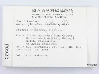 登錄號:F0000920藏品圖，第2張