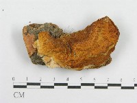 登錄號:F0000920藏品圖，第3張