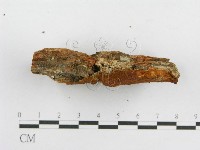 登錄號:F0000920藏品圖，第4張