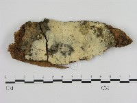 登錄號:F0000921藏品圖，第1張