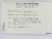 登錄號:F0000923藏品圖，第2張
