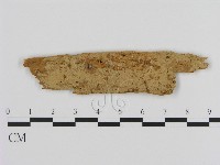 登錄號:F0000923藏品圖，第1張