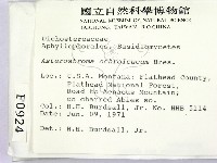 登錄號:F0000924藏品圖，第2張
