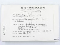 館號:F0000925藏品圖，第2張