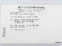 登錄號:F0000926藏品圖，第2張