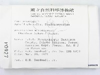 登錄號:F0000927藏品圖，第2張