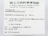 登錄號:F0000928藏品圖，第2張