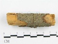 登錄號:F0000928藏品圖，第1張
