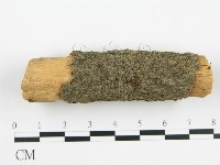 登錄號:F0000928藏品圖，第4張