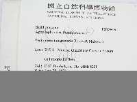 登錄號:F0000929藏品圖，第2張