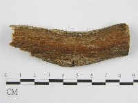 登錄號:F0000929藏品圖，第1張