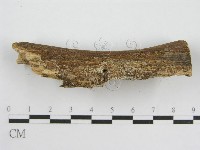 登錄號:F0000929藏品圖，第3張