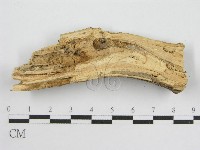 登錄號:F0000929藏品圖，第4張