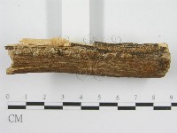 登錄號:F0000929藏品圖，第5張