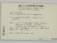 登錄號:F0000930藏品圖，第2張