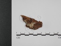 登錄號:F0000930藏品圖，第1張