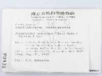 針齒銳岩菌藏品圖，第2張