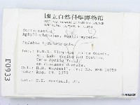 館號:F0000933藏品圖，第2張