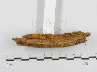 館號:F0000933藏品圖，第4張