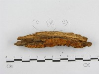 館號:F0000933藏品圖，第5張