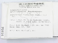 登錄號:F0000934藏品圖，第2張