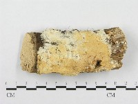 登錄號:F0000934藏品圖，第4張
