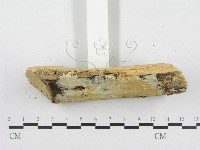 登錄號:F0000934藏品圖，第5張