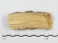 登錄號:F0000934藏品圖，第6張
