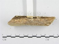 登錄號:F0000934藏品圖，第1張