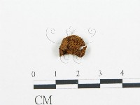 登錄號:F0000935藏品圖，第1張