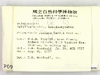 登錄號:F0000936藏品圖，第2張