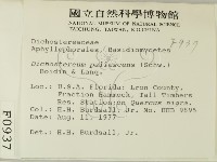 登錄號:F0000937藏品圖，第2張