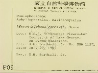 登錄號:F0000938藏品圖，第2張