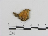 登錄號:F0000938藏品圖，第1張