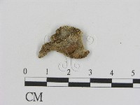 登錄號:F0000938藏品圖，第3張