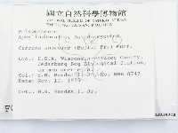 登錄號:F0000940藏品圖，第2張