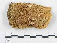 登錄號:F0000940藏品圖，第3張